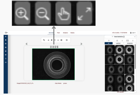 Detection image
