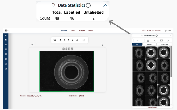 Detection image