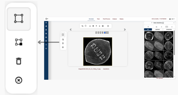 Detection image