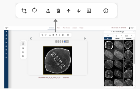 Detection image