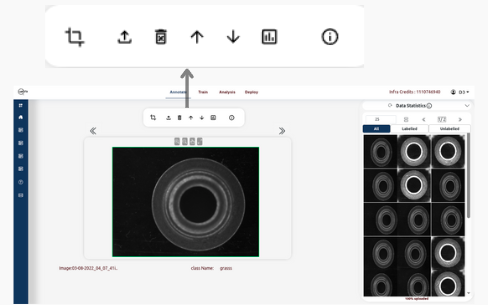 Detection image