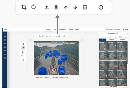 Detection image